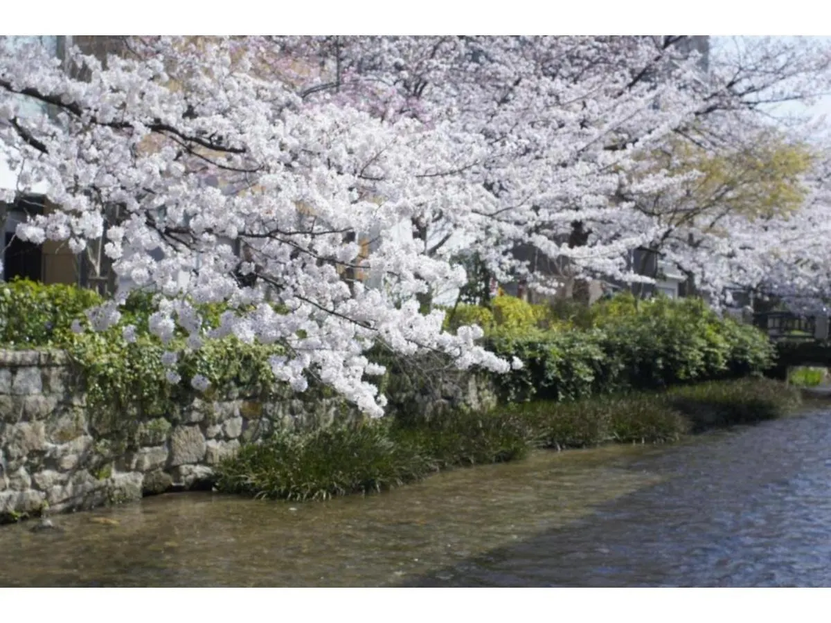 Jeugiya - Vacation Stay 87441V Kyoto 0*,